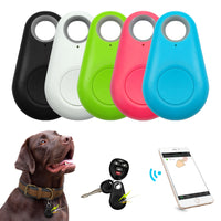 Pet Tracker Tag