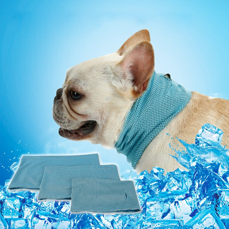 Dog Cooling Bandana