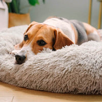 Anti Anxiety / Calming Dog Bed- Round