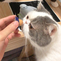 Catnip Energy Ball
