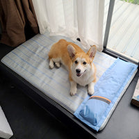 Summer Cooling Memory Foam Dog Bed