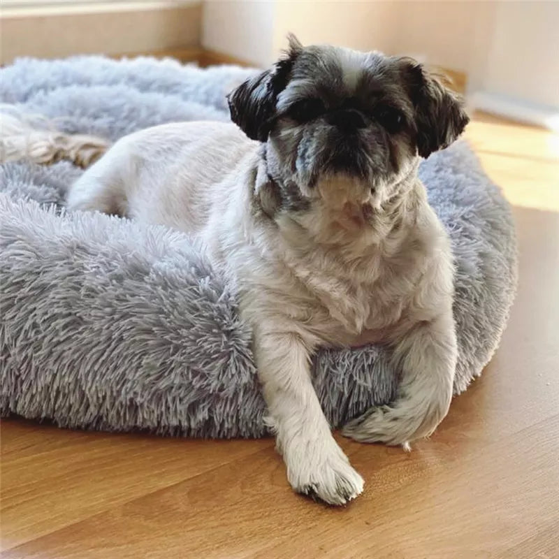 Give your dog restful sleep and ease everyday anxiety