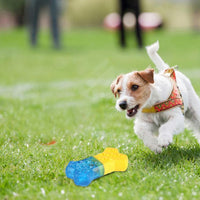 Summer Cooling Dog Toy
