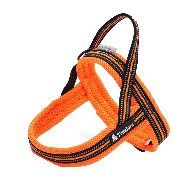 Fully Reflective No Pull Harness