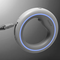 LED Smart Dog Lead