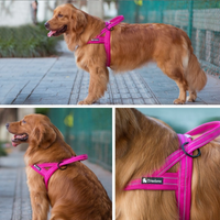 Fully Reflective No Pull Harness