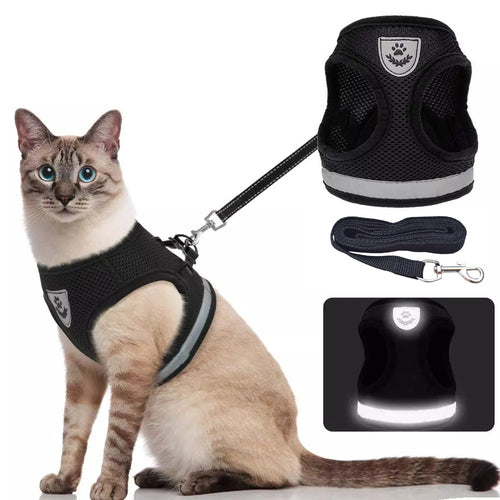 Pawfetch Cat Harness and Leash Set