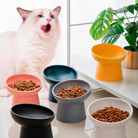 Nordic Style Tilted Ceramic Cat Bowls