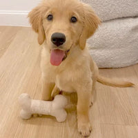 Personalised Dog Bone Toy