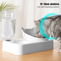 Anti Vomiting Cat Bowl with Automatic Water Dispenser