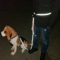 Hands Free Dog Running Lead
