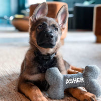 Personalised Dog Bone Toy