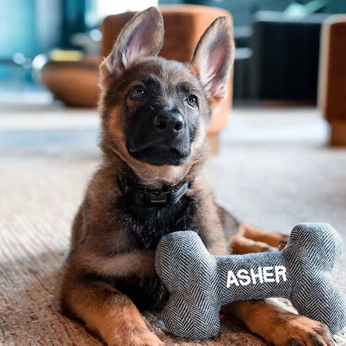 Personalised Dog Bone Toy