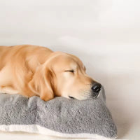 Comfy Dog Crate/ Cage Mat for Large/ XL dogs