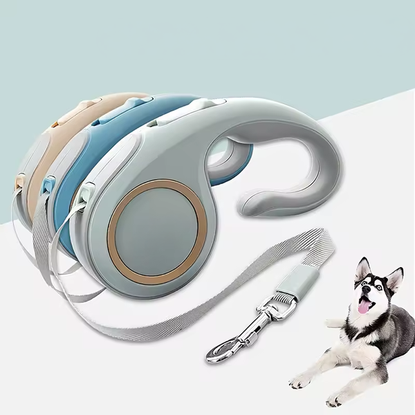 Dog Leads & Collars