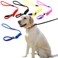 Pawfetch Slip Lead