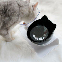 Anti-Vomiting Raised Cat Bowls