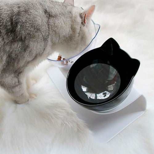 Anti-Vomiting Raised Cat Bowls