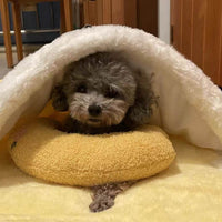 Anti Anxiety Dog/ Cat Pillow
