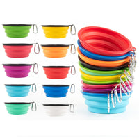 Collapsible Dog Bowl