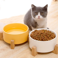 Ceramic Dog Bowl with Wooden Stand