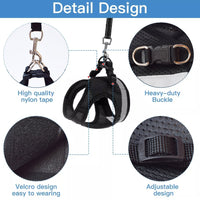 Pawfetch Cat Harness and Leash Set