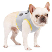 Summer Cooling Dog Harness