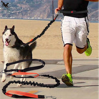 Hands Free Dog Running Lead