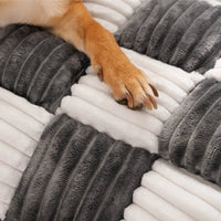 Luxury Stylish Scratch Proof Dog Sofa Bed