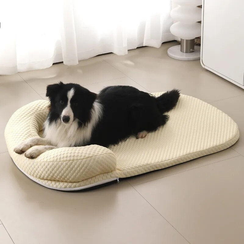 We Have the Pawfect Solution...