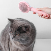 One Click Cat Massage Brush