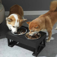 Elevated Dog/Cat Feeding Station