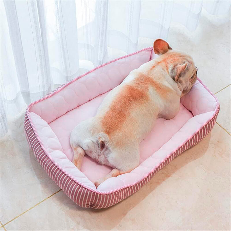 Summer Cooling Dog Bed