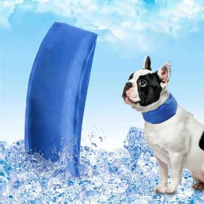 Cooling Dog Collar