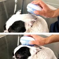 Pawfetch Dog Massage Grooming Brush
