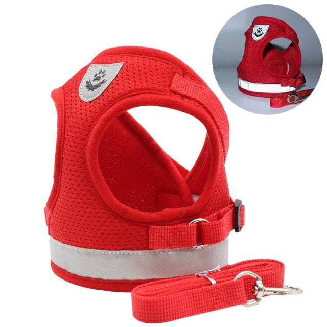 Pawfetch Cat Harness and Leash Set