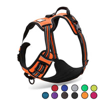 Reflective Dog Harness
