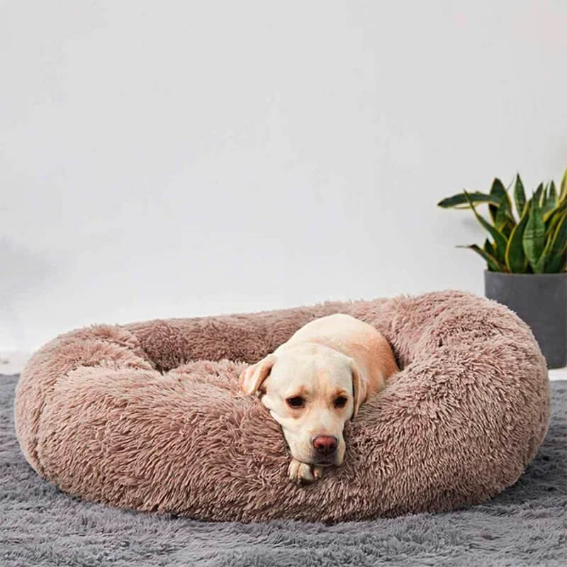 Anti Anxiety / Calming Dog Bed- Round