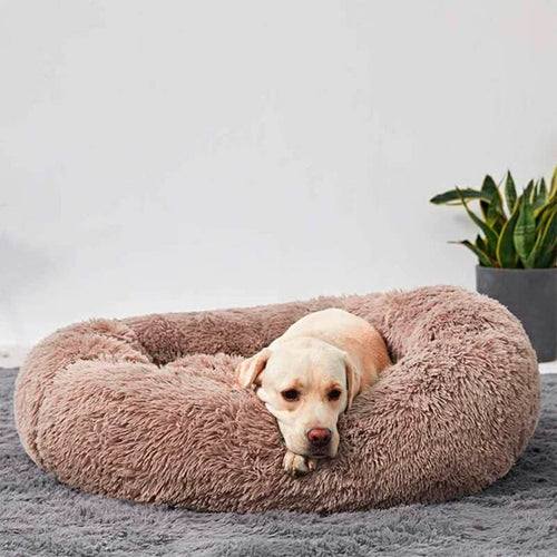 Anti Anxiety / Calming Dog Bed- Round