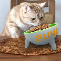 Personalised Anti Vomit Cat Bowl