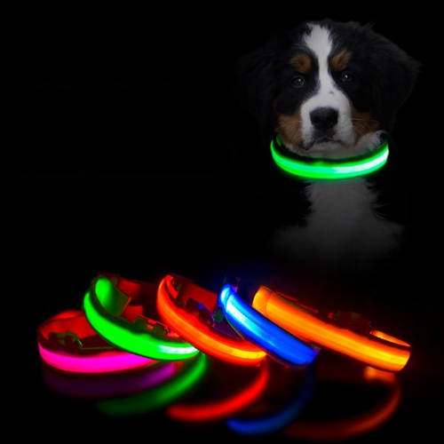 Rechargeable LED Dog Collar