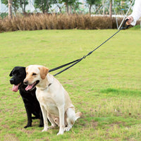 Tangle Free Double Dog Lead