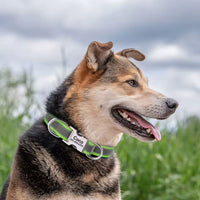 Reflective Personalised Dog Collar