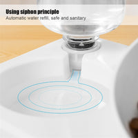 Anti Vomiting Cat Bowl with Automatic Water Dispenser
