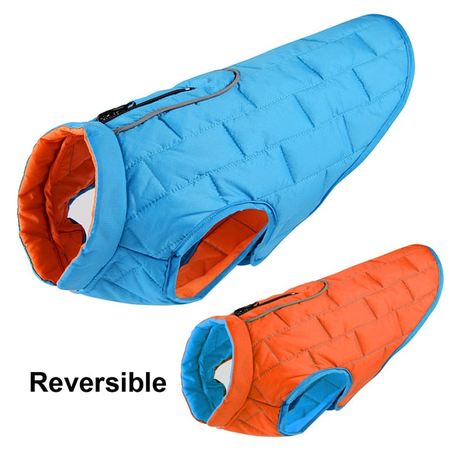 Reversible Dog Jacket