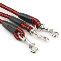 Triple Dog Lead