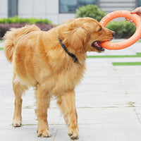 Rubber Dog Play Ring