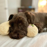 Anti Anxiety Dog/ Cat Pillow