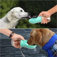 Portable Dog Water Bottle & Feeder