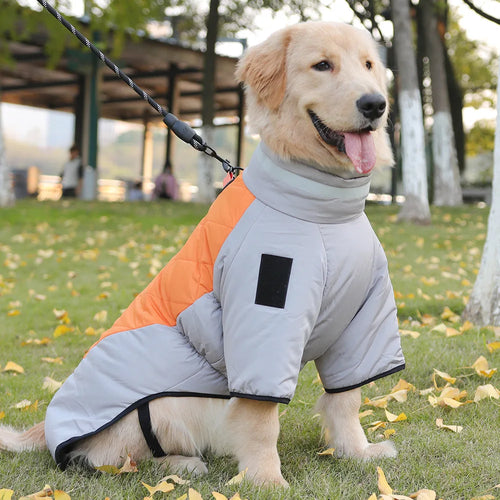 2-in-1 Dog Puffer Jacket with Integrated Harness